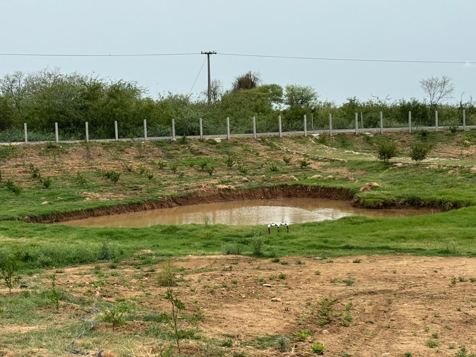 Rain-fed catchment pond, Dhan Valley Farm